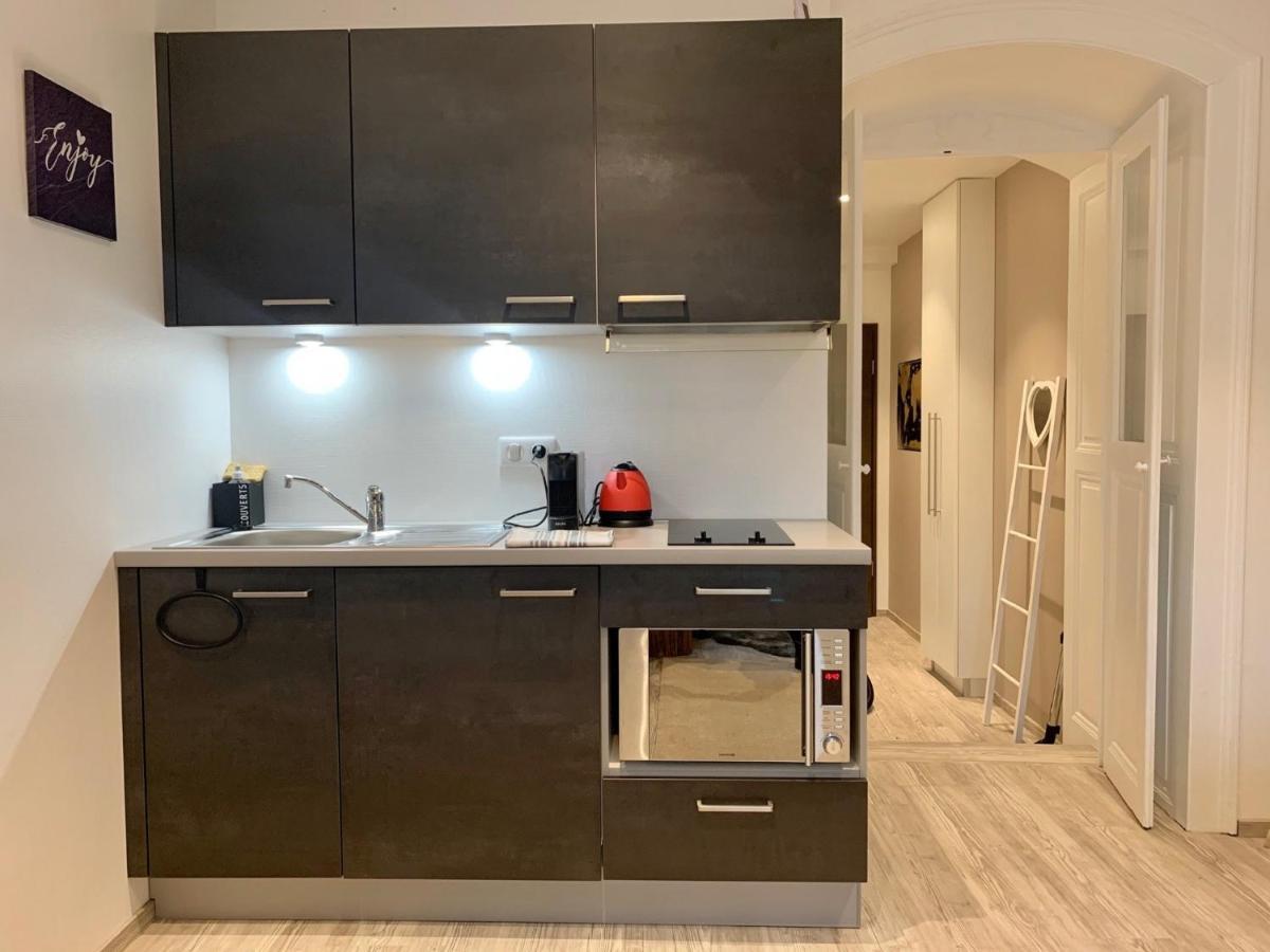 Apartament Le Coin 45 Colmar Zewnętrze zdjęcie